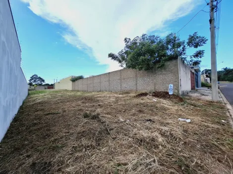 imagem 5 - Terreno de 285m² à venda - Jardim Quebec imagem 5 - Terreno de 285m² à venda - Jardim Quebec