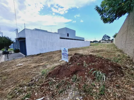 imagem 4 - Terreno de 285m² à venda - Jardim Quebec imagem 4 - Terreno de 285m² à venda - Jardim Quebec