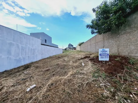 imagem 3 - Terreno de 285m² à venda - Jardim Quebec imagem 3 - Terreno de 285m² à venda - Jardim Quebec