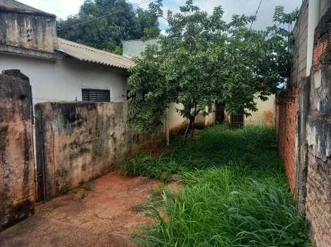 imagem 5 - Casa de 164m² com 02 quartos à venda - Ipiranga imagem 5 - Casa de 164m² com 02 quartos à venda - Ipiranga