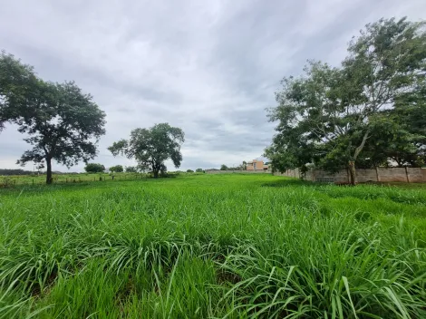 imagem 4 - Terreno comercial de 5.000m² à venda - Condomínio Bella Città imagem 4 - Terreno comercial de 5.000m² à venda - Condomínio Bella Città
