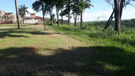 imagem 1 - Terreno de 4.142m² à venda - Cravinhos imagem 1 - Terreno de 4.142m² à venda - Cravinhos