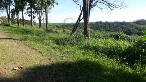 imagem 2 - Terreno de 4.142m² à venda - Cravinhos imagem 2 - Terreno de 4.142m² à venda - Cravinhos