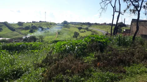 imagem 5 - Terreno de 4.142m² à venda - Cravinhos imagem 5 - Terreno de 4.142m² à venda - Cravinhos