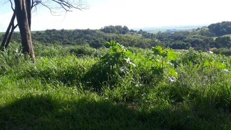 imagem 3 - Terreno de 4.142m² à venda - Cravinhos imagem 3 - Terreno de 4.142m² à venda - Cravinhos