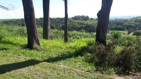 imagem 4 - Terreno de 4.142m² à venda - Cravinhos imagem 4 - Terreno de 4.142m² à venda - Cravinhos