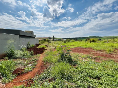 imagem 1 - Terreno de 481m² à venda - Jardim Santa Cecília imagem 1 - Terreno de 481m² à venda - Jardim Santa Cecília