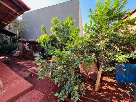 imagem 5 - Terreno de 531m² à venda - Sumarezinho imagem 5 - Terreno de 531m² à venda - Sumarezinho