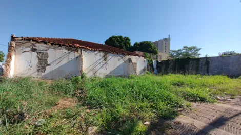 imagem 2 - Terreno de 753m² à venda - Centro em Sertãozinho imagem 2 - Terreno de 753m² à venda - Centro em Sertãozinho