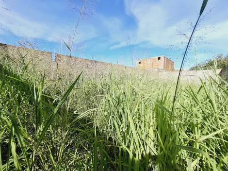 imagem 3 - Terreno - Padrão imagem 3 - Terreno - Padrão