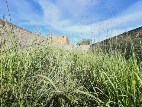 imagem 5 - Terreno murado de 160m² à venda - Parque das Oliveiras II imagem 5 - Terreno murado de 160m² à venda - Parque das Oliveiras II