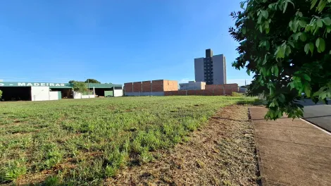 imagem 1 - Terreno de 250m² à venda - Jardim Amália em Sertãozinho imagem 1 - Terreno de 250m² à venda - Jardim Amália em Sertãozinho