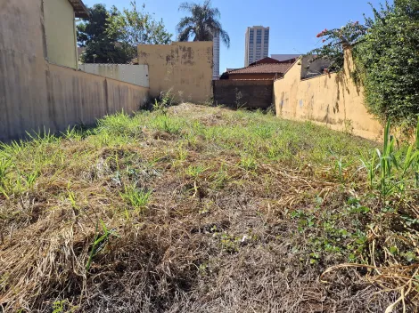 imagem 4 - Terreno de 250m² para locação - Nova Ribeirânia imagem 4 - Terreno de 250m² para locação - Nova Ribeirânia