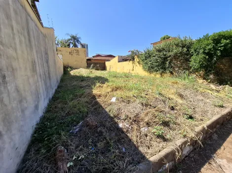 imagem 5 - Terreno de 250m² para locação - Nova Ribeirânia imagem 5 - Terreno de 250m² para locação - Nova Ribeirânia