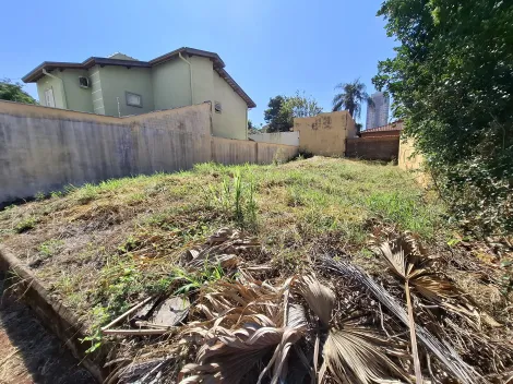 imagem 3 - Terreno de 250m² para locação - Nova Ribeirânia imagem 3 - Terreno de 250m² para locação - Nova Ribeirânia