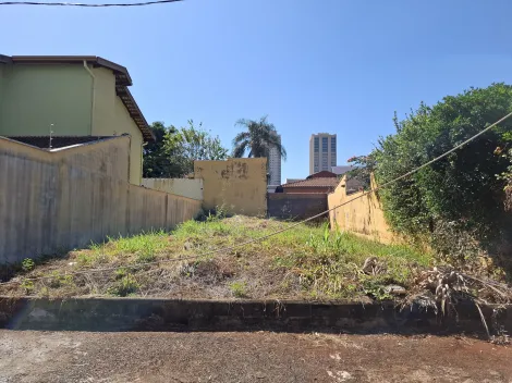 imagem 2 - Terreno de 250m² para locação - Nova Ribeirânia imagem 2 - Terreno de 250m² para locação - Nova Ribeirânia