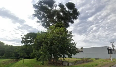 imagem 3 - Terreno de 840m² à venda - Jardim Liberdade em Sertãozinho imagem 3 - Terreno de 840m² à venda - Jardim Liberdade em Sertãozinho