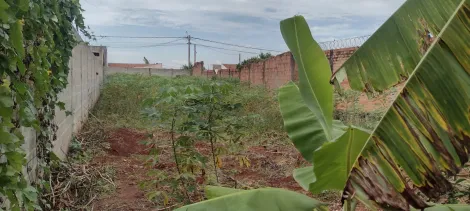 imagem 2 - Terreno de 287m² à venda - Jardinópolis imagem 2 - Terreno de 287m² à venda - Jardinópolis