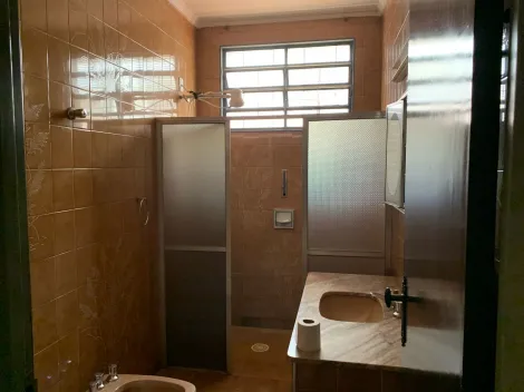 imagem 5 - Casa sobrado mobilhado de 231m² com 04 quartos sendo 01 suíte para locação - Jardim Castelo Branco imagem 5 - Casa sobrado mobilhado de 231m² com 04 quartos sendo 01 suíte para locação - Jardim Castelo Branco