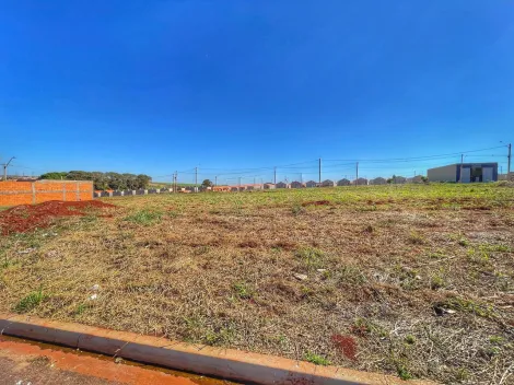 imagem 1 - Terreno - Padrão imagem 1 - Terreno - Padrão
