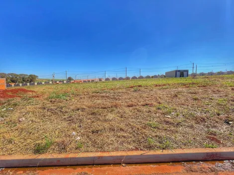 imagem 3 - Terreno - Padrão imagem 3 - Terreno - Padrão