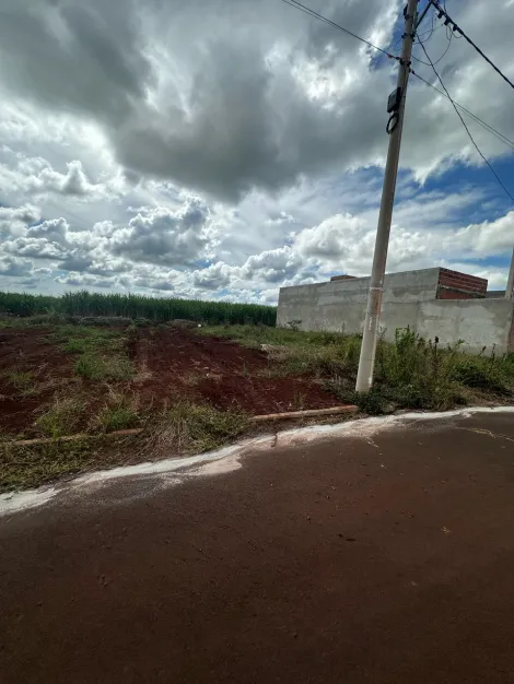 imagem 1 - Terreno de 200M² a venda - Bela Cravinhos imagem 1 - Terreno de 200M² a venda - Bela Cravinhos