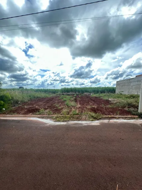 imagem 2 - Terreno de 200M² a venda - Bela Cravinhos imagem 2 - Terreno de 200M² a venda - Bela Cravinhos