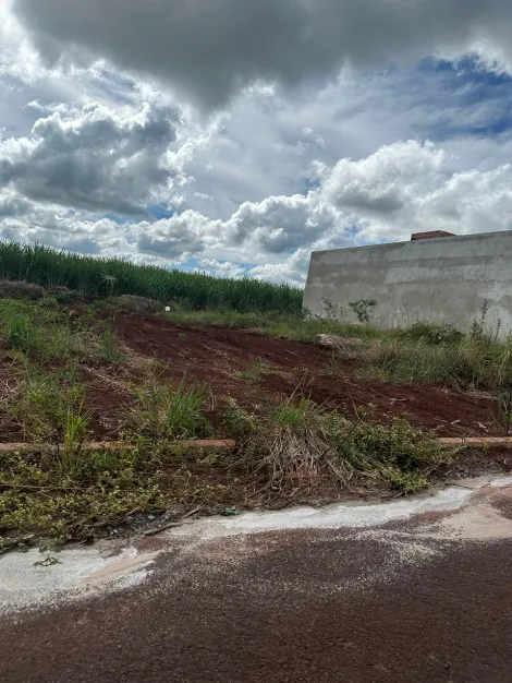 imagem 4 - Terreno de 200M² a venda - Bela Cravinhos imagem 4 - Terreno de 200M² a venda - Bela Cravinhos