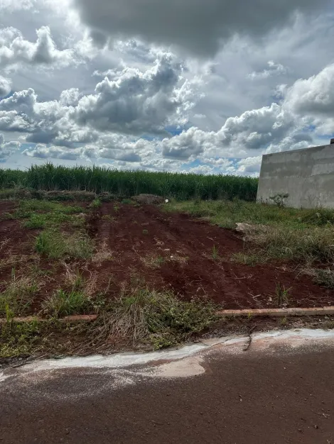 imagem 5 - Terreno de 200M² a venda - Bela Cravinhos imagem 5 - Terreno de 200M² a venda - Bela Cravinhos