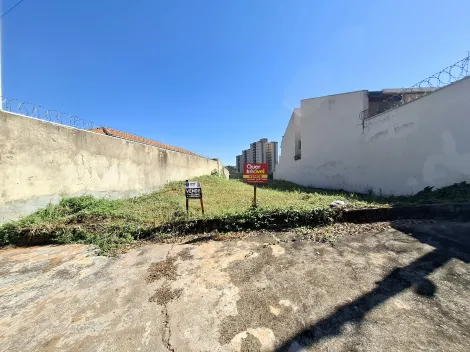 imagem 1 - Terre amplo de 320m² à venda - Alto da Boa Vista imagem 1 - Terre amplo de 320m² à venda - Alto da Boa Vista