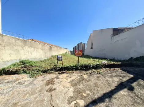 imagem 3 - Terre amplo de 320m² à venda - Alto da Boa Vista imagem 3 - Terre amplo de 320m² à venda - Alto da Boa Vista