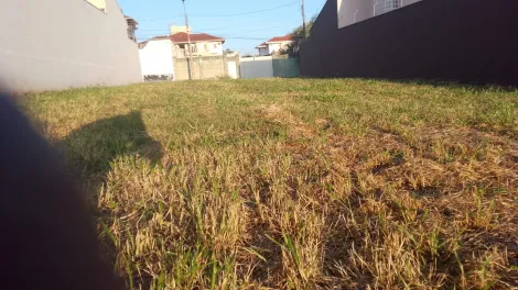 imagem 1 - Terreno de 517m² à venda em SERTÃOZINHO - Jardim Athenas imagem 1 - Terreno de 517m² à venda em SERTÃOZINHO - Jardim Athenas