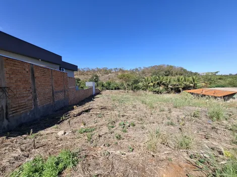 imagem 4 - Terreno de 3656m² para venda - Recanto Curió imagem 4 - Terreno de 3656m² para venda - Recanto Curió