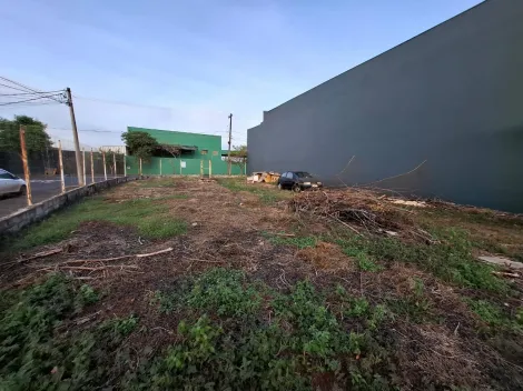 imagem 2 - Terreno de 381² à venda - Residencial e Comercial Palmares imagem 2 - Terreno de 381² à venda - Residencial e Comercial Palmares