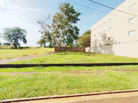 imagem 2 - Terreno comercial de 520m² à venda - Bella Città imagem 2 - Terreno comercial de 520m² à venda - Bella Città