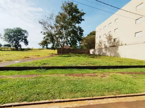 imagem 3 - Terreno comercial de 520m² à venda - Bella Città imagem 3 - Terreno comercial de 520m² à venda - Bella Città