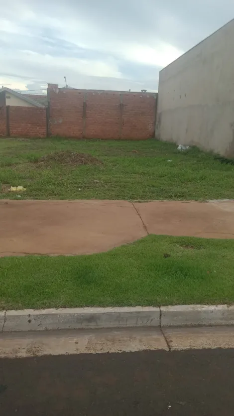 imagem 2 - Terreno - Padrão imagem 2 - Terreno - Padrão