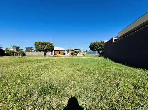 imagem 5 - Terreno de 359m² à venda em condomínio - Vila do Golfe imagem 5 - Terreno de 359m² à venda em condomínio - Vila do Golfe