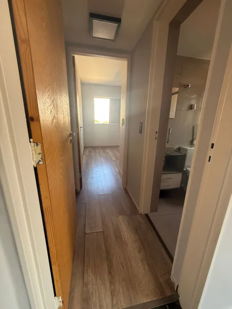 imagem 5 - Apartamento de 37m² com 01 quarto para locação - Centro imagem 5 - Apartamento de 37m² com 01 quarto para locação - Centro