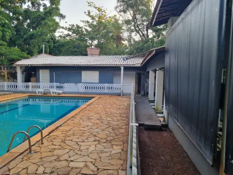 imagem 2 - Rancho em Jardinópolis de 1.200m² à venda - Jardinópolis imagem 2 - Rancho em Jardinópolis de 1.200m² à venda - Jardinópolis