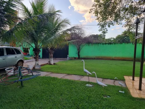 imagem 4 - Rancho em Jardinópolis de 1.200m² à venda - Jardinópolis imagem 4 - Rancho em Jardinópolis de 1.200m² à venda - Jardinópolis