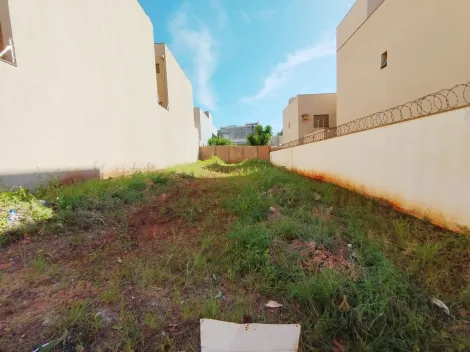 imagem 4 - Terreno Padrão 300 m2 à Venda no Jardim Botânico imagem 4 - Terreno Padrão 300 m2 à Venda no Jardim Botânico