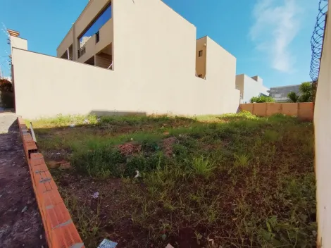imagem 5 - Terreno Padrão 300 m2 à Venda no Jardim Botânico imagem 5 - Terreno Padrão 300 m2 à Venda no Jardim Botânico