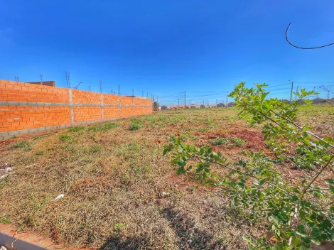 imagem 1 - Terreno - Padrão imagem 1 - Terreno - Padrão