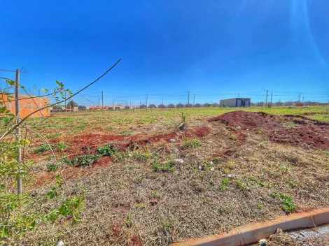 imagem 2 - Terreno - Padrão imagem 2 - Terreno - Padrão