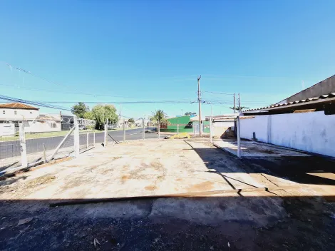 imagem 1 - Terreno de 262m² para locação - Parque Residencial Cândido Portinari imagem 1 - Terreno de 262m² para locação - Parque Residencial Cândido Portinari