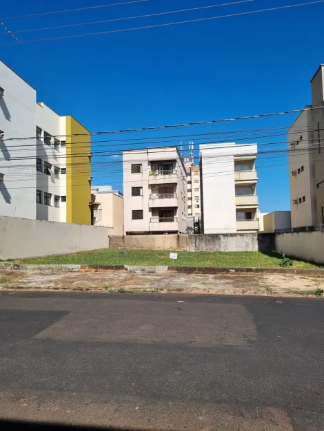 imagem 1 - Terreno de 250M² no Ana Maria imagem 1 - Terreno de 250M² no Ana Maria