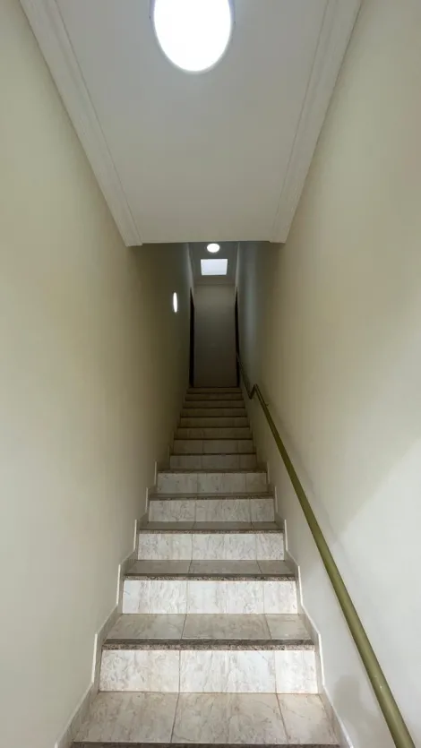 imagem 1 - Loja comercial de 25m² com 01 banheiro para locação - Bonfim Paulista imagem 1 - Loja comercial de 25m² com 01 banheiro para locação - Bonfim Paulista