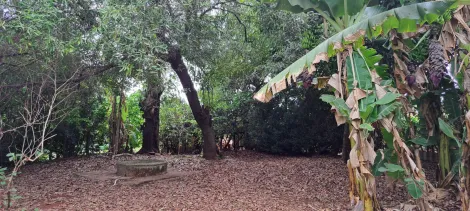 imagem 1 - Chácara com 3.000m²  - Residencial  em  Brodowski imagem 1 - Chácara com 3.000m²  - Residencial  em  Brodowski