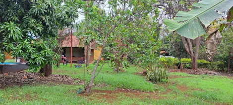 imagem 2 - Chácara com 3.000m²  - Residencial  em  Brodowski imagem 2 - Chácara com 3.000m²  - Residencial  em  Brodowski